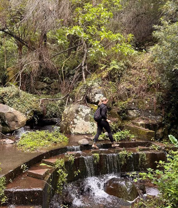 Levada-dos-tornos-02.jpg