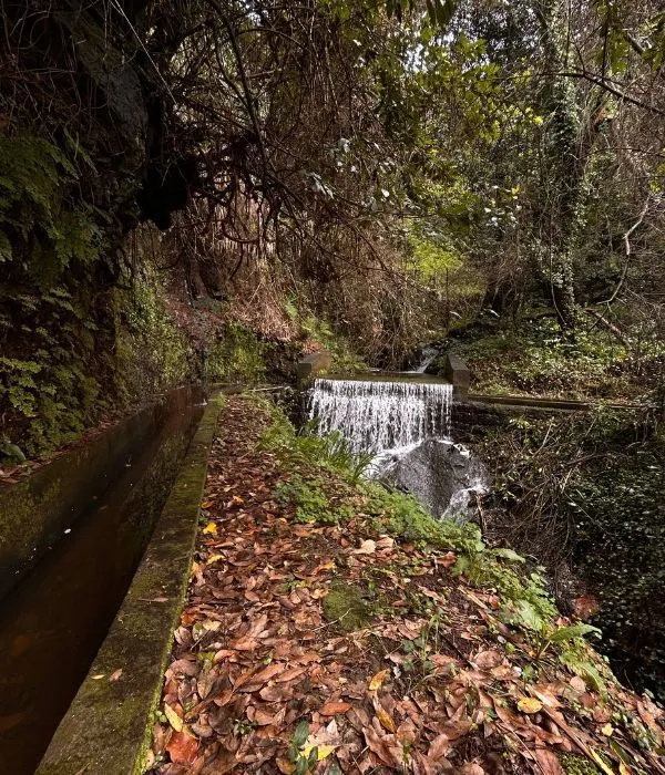 Levada-dos-tornos-05.jpg